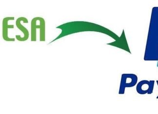 PayPal users can now move funds easily to M-Pesa accounts