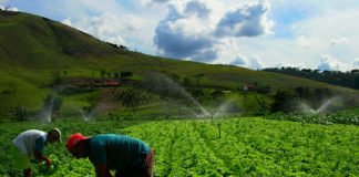 Angola has the potential for large-scale agriculture