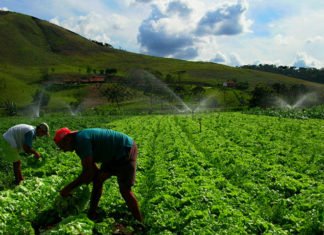 Angola has the potential for large-scale agriculture