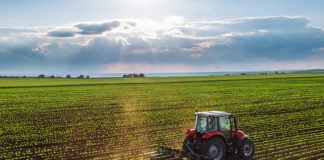 IFAD supports agriculture and fisheries in Mozambique