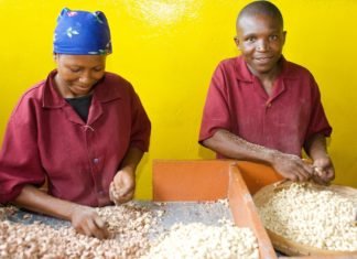 Mozambique expects to trade 260,000 tonnes of products