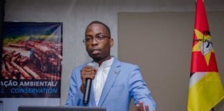 The Future of the Petroleum Industry in Mozambique