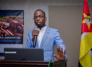 The Future of the Petroleum Industry in Mozambique