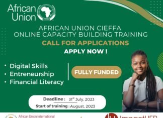 Apply for African Union CIEFFA Online Capacity Building Training 2023