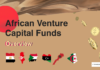 African Venture Capital Funds Unveiled