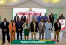 Northern Mozambique Gets $2 Million Boost for Small Business Growth