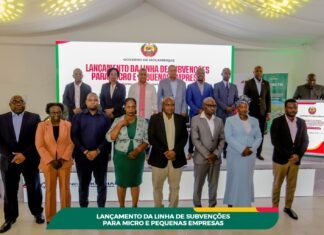 Northern Mozambique Gets $2 Million Boost for Small Business Growth